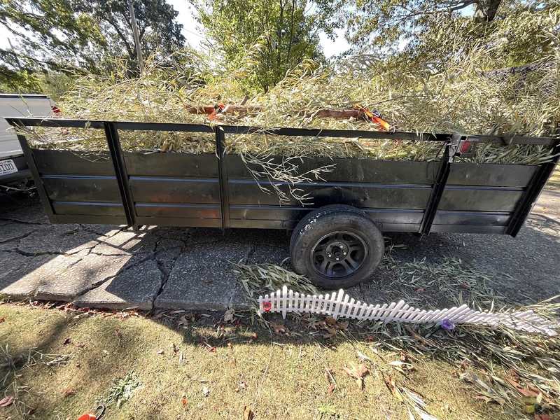 Utility trailer loaded with cut branches and yard debris.